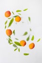 Random flying in the air green mint leaves with juicy ripe apricot fruits isolated on white background