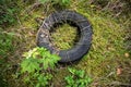 Random garbage junk items left in nature and forests. Old tyre