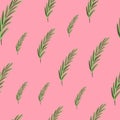 Random green rosemary ornament seamless abstract pattern. Pink bright background. Floral elements Royalty Free Stock Photo