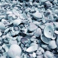 Background from small varied seashells.