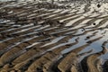 Sand texture caused by tide.