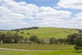 Random Rural Fields & Vineyard, Barossa Valley, South Australia Royalty Free Stock Photo