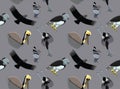 Random South American Birds Wallpaper 1 Royalty Free Stock Photo