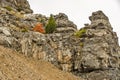 Random Trees on Rock Formations