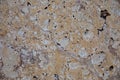 Random, Unique, Natural Cannstatter Travertine Texture - Freshwater Limestone Background Royalty Free Stock Photo