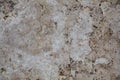 Random, Unique, Natural Cannstatter Travertine Texture - Freshwater Limestone Background Royalty Free Stock Photo