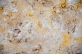 Random, Unique, Natural Cannstatter Travertine Texture - Freshwater Limestone Background Royalty Free Stock Photo