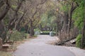 Random Walkway at Delhi Zoological park surrounded by trees