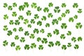 Randomly arranged green clover leaves