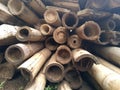 randomly arranged pile of bamboo