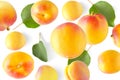Randomly falling apricots. Isolated apricots on a white background.