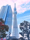 Randomly Tokyo from what i see Royalty Free Stock Photo