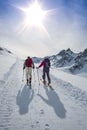 Randonnee ski trails Royalty Free Stock Photo