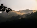 Range of beautiful hill forest