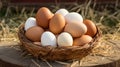 range farm fresh eggs Royalty Free Stock Photo