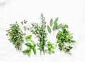 Range of fragrant garden herbs on a light background-tarragon, thyme, oregano, basil, sage, mint. Healthy ingredients, top view. C Royalty Free Stock Photo