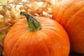 Ðrange pumpkin with straw closeup view Royalty Free Stock Photo