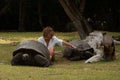 Ranger playing with the Seychelles giant tortoise Aldabrachelys gigantea hololissa in Curieuse Island.