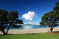 Rangitoto island through tree Royalty Free Stock Photo