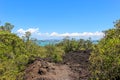 Rangitoto island, Auckland, New Zealand