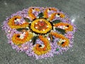 Rangoli of the Day Royalty Free Stock Photo