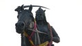 Rani Laxmibai sitting on a horse and holding a sword in her hand