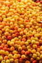 Ranier Cherries in Market Royalty Free Stock Photo