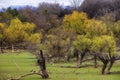 Rankin Bottoms Wildlife Refuge along the Nolichucky and French Broad Rivers in TN Royalty Free Stock Photo