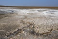 Rann of Kutch