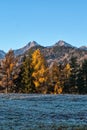 Vysoke Tatry