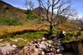 Rannerdale Knotts Royalty Free Stock Photo