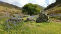 Rannerdale knotts Royalty Free Stock Photo