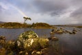 Rannoch moor rainbow Royalty Free Stock Photo