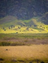 Rano Raraku volcano, the quarry of the moai with many uncompleted statues. Rapa Nui National Park, Easter Island, Chile. UNESCO Royalty Free Stock Photo