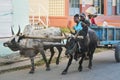 Ranohira, Madagascar - April 29, 2019: Two unknown Malagasy men riding simple wooden cart pulled by pair of zebu cattle on main