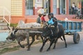 Ranohira, Madagascar - April 29, 2019: Unknown Malagasy man riding his zebu cart home in evening, two more locals carrying bags