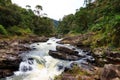 Ranomafana river Royalty Free Stock Photo