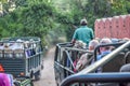 RANTHAMBORE National Park, INDIA-APRIL 15: Tourist group on Safari jeep crossing danger area of forest.