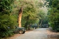 Ranthambore, Rajasthan / India - 18 December 2019 : nature lovers, photographers, tourists waiting for tiger and cubs in safari