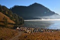 Ranu kumbolo is a lake located in the Bromo Tengger Semeru National Park,East Java.