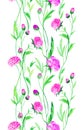Ranunculus flowers in watercolor