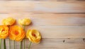 Ranunculus persian buttercups on wooden background