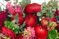 Ranunkulyus bouquet of red flowers on a white background