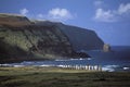 Rapa Nui guardians Royalty Free Stock Photo