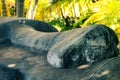 Rapa Nui Moai - Easter Island Head