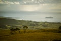 Rapa Nui Moai Statues Easter Island Royalty Free Stock Photo