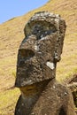 Rapa Nui National Park Royalty Free Stock Photo