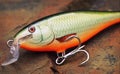 Detail of floating balsa wood fishing lure Shad Rap plug Royalty Free Stock Photo