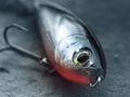 Rapala X Rap Subwalk fishing lure plug for big predatory fish Royalty Free Stock Photo