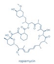 Rapamycin sirolimus immunosuppressive drug molecule. Used to prevent transplant rejection and in coronary stent coating.. Royalty Free Stock Photo